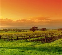 Barossa Valley Barossa Valley